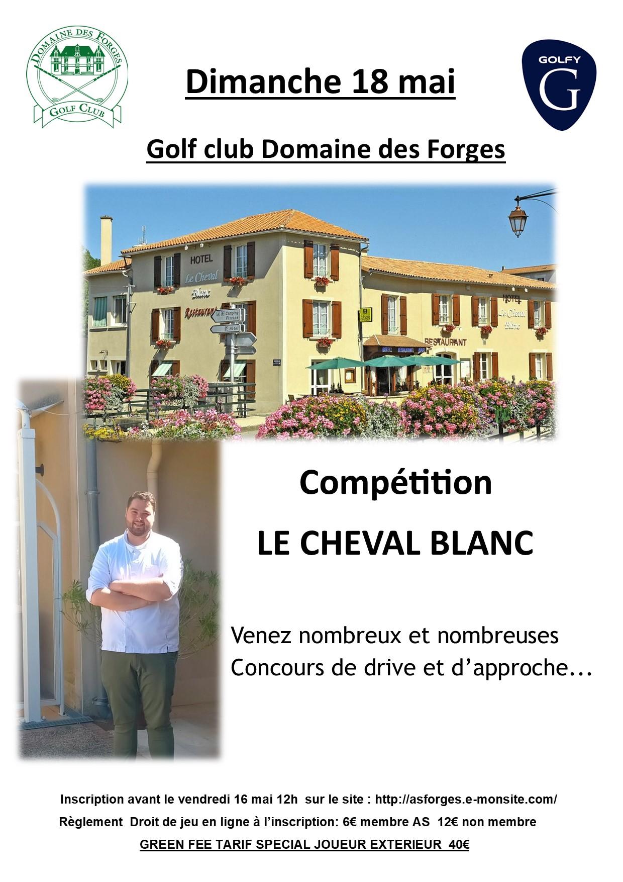 Cheval blanc 2025